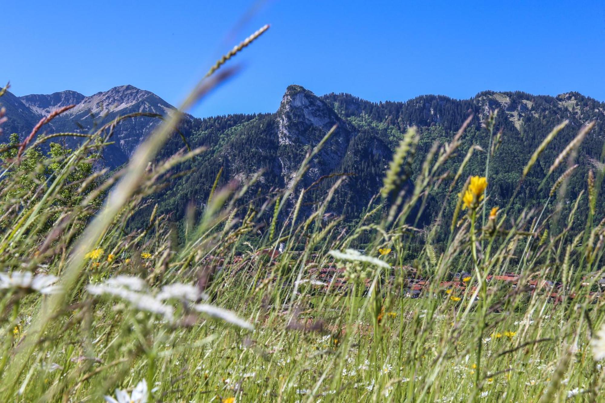 Ferienwohnung Gipfelglueck Oberammergau Zewnętrze zdjęcie